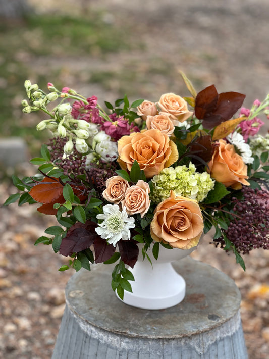 The Saddle Rose: A Golden Hour Gathering