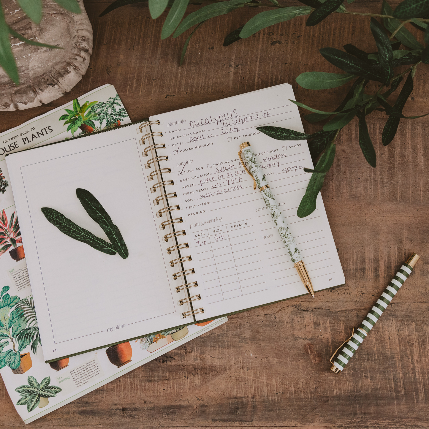 Indoor/Outdoor Plant Journal
