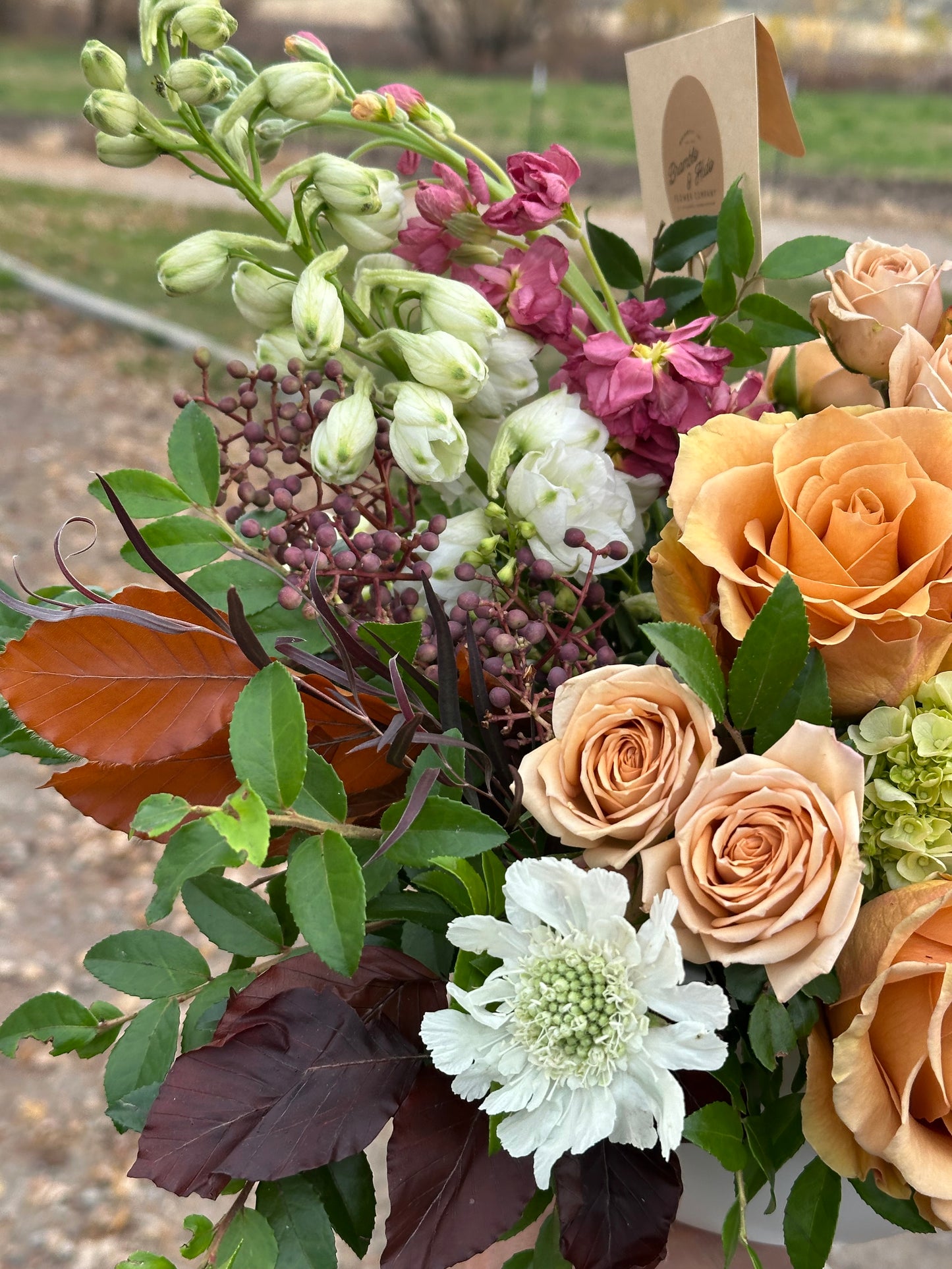 The Saddle Rose: A Golden Hour Gathering