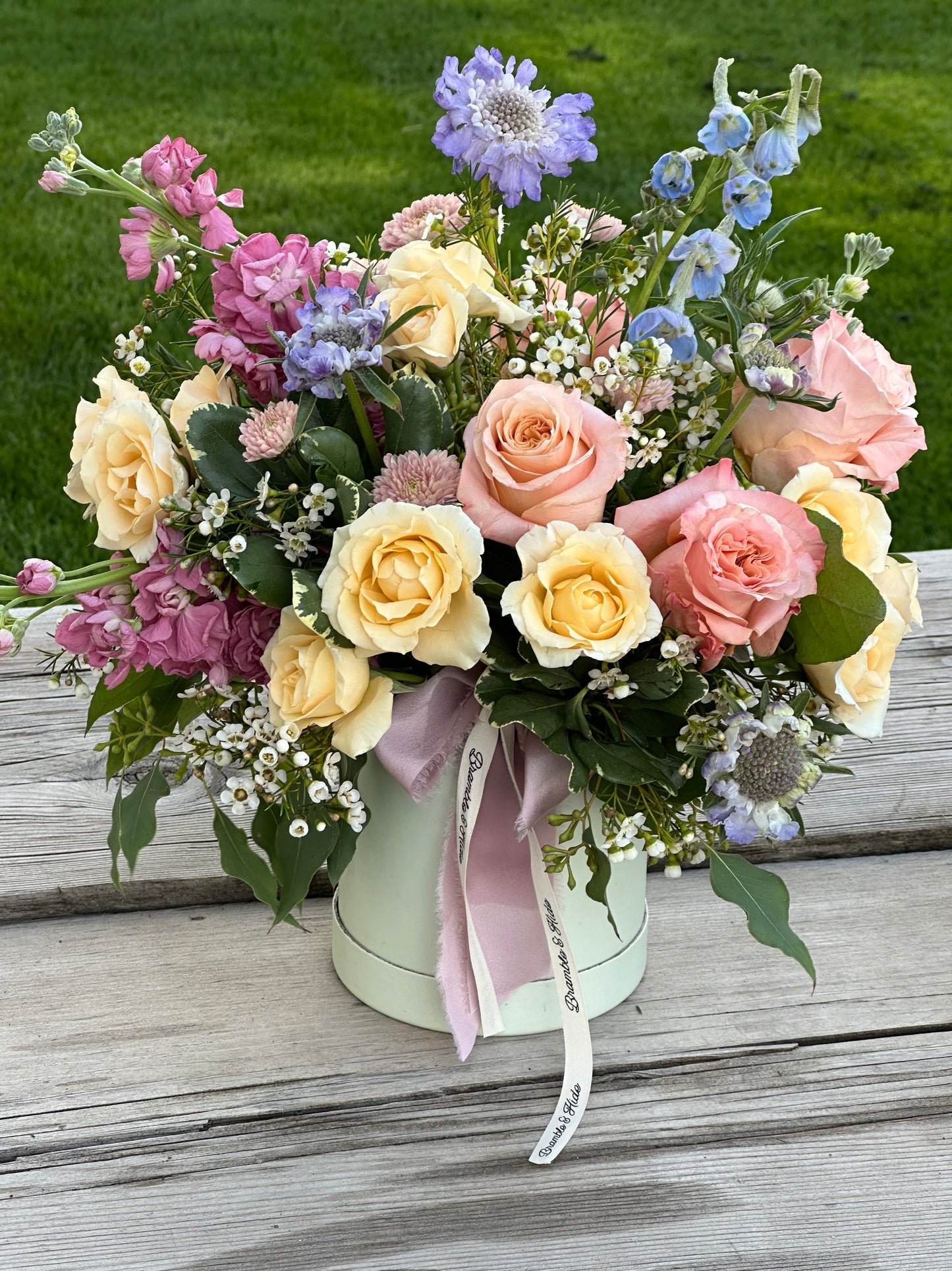 Designer's Choice: Pastel